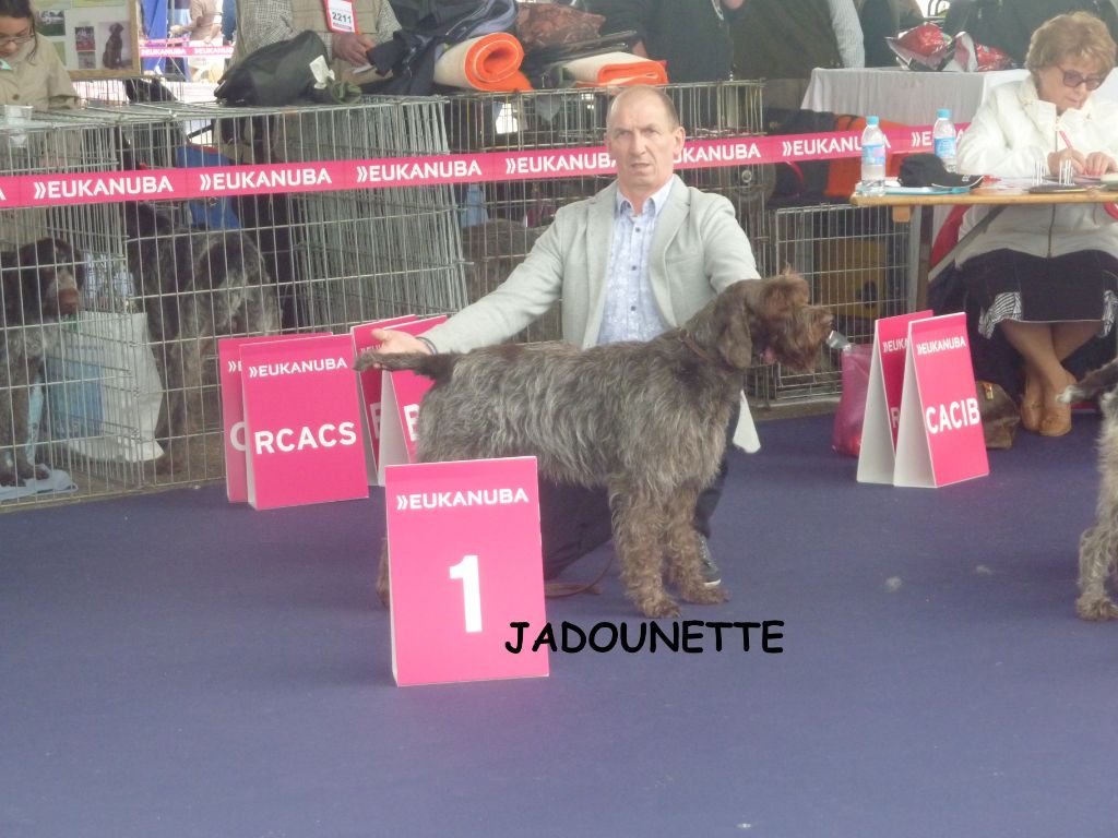 CH. TR. Jadounette Des plaines du mare a l'eau