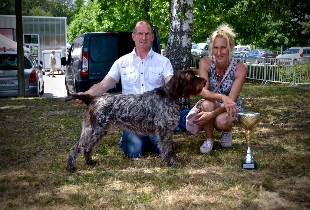 De La Marne Au Bois - Ines cacs et meilleur sujet a la national d'élevage 2017