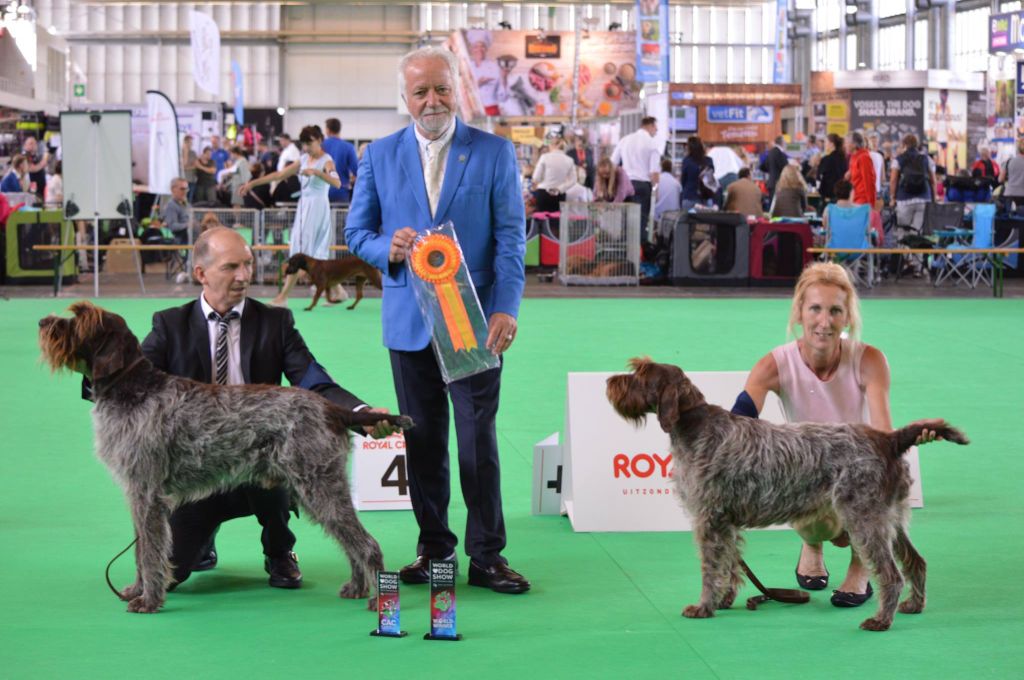 De La Marne Au Bois - HUGO BOSS  et  INÈS   CHAMPION DU MONDE