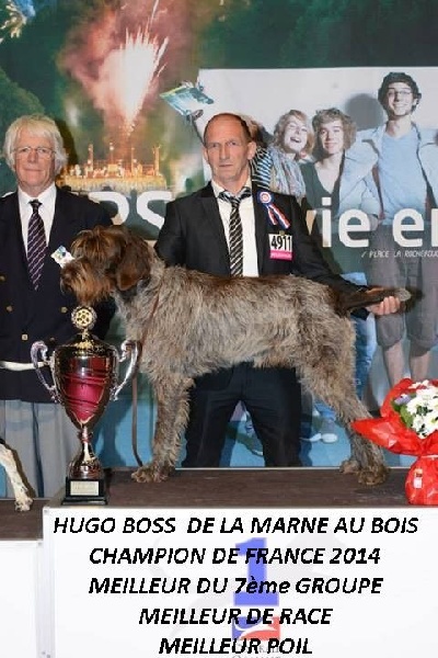 CH. TR. Hugo boss De La Marne Au Bois