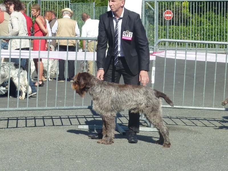 CH. TR. Hugo boss De La Marne Au Bois